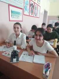 Будущее за ГЕНЕТИКОЙ